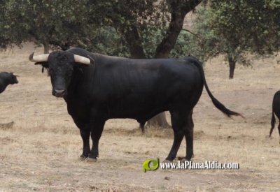 Fotografia /Galeria/2024/7/230526_146358/5_M1.jpg