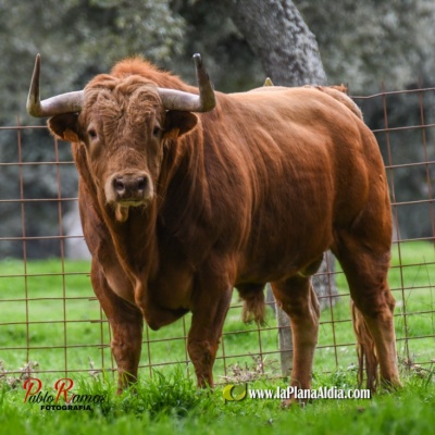 Fotografia /Galeria/2024/7/230526_146358/6_M1.jpg