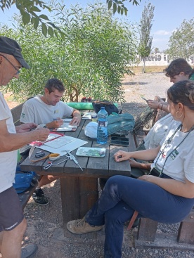 El Projecte Emys localiza 18 Emys orbicularis y 9 Mauremys leprosa en la Marjal d'Almenara