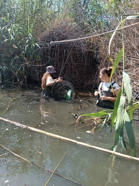 Fotografia /Galeria/2024/7/230600_146411/2_M1.jpg