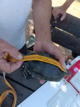 Fotografia /Galeria/2024/7/230600_146411/3_M1.jpg