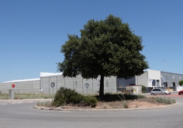 Fotografia /Galeria/2024/7/230919_146629/2_M1.jpg