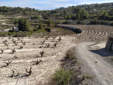 AVA-ASAJA reclama ayuda ante pérdidas históricas por sequía en la Comunitat Valenciana