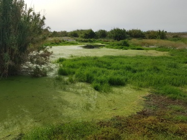 Fotografia /Galeria/2024/7/230967_146661/2_M1.jpg