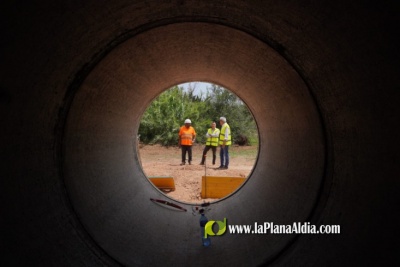 Fotografia /Galeria/2024/7/230998_146684/4_M1.jpg