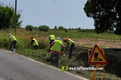 Les 62 persones contractades per combatre l'atur agrari comencen els seus treballs a Borriana
