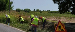 Las 62 personas contratadas para combatir el paro agrario comienzan sus trabajos en Burriana