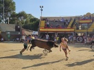 Fotografia /Galeria/2024/7/231052_146721/1_M1.jpg