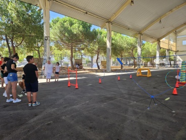 Fotografia /Galeria/2024/7/231052_146721/4_M1.jpg