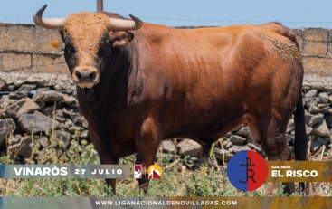 Fotografia /Galeria/2024/7/231125_146775/2_M1.jpg