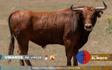 Fotografia /Galeria/2024/7/231125_146775/3_M1.jpg