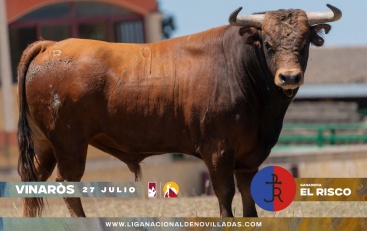 Fotografia /Galeria/2024/7/231125_146775/4_M1.jpg