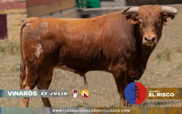 Fotografia /Galeria/2024/7/231125_146775/5_M1.jpg