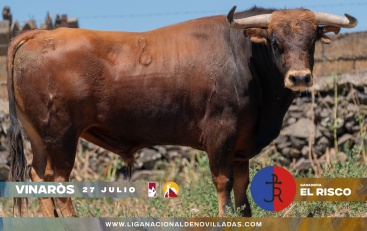 Fotografia /Galeria/2024/7/231125_146775/6_M1.jpg