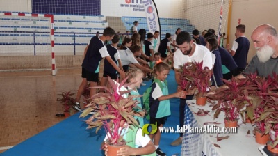 Fotografia /Galeria/2024/7/231204_146839/3_M1.jpg