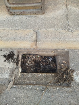 Fotografia /Galeria/2024/8/231429_146996/2_M1.jpg