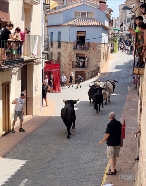Comienzan las fiestas patronales de Les Useres con exhibiciones taurinas
