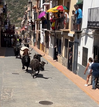 Fotografia /Galeria/2024/8/231473_147033/2_M1.jpg