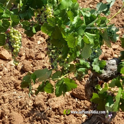 Fotografia /Galeria/2024/8/231524_147081/2_M1.jpg