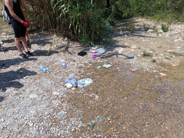 Fotografia /Galeria/2024/8/231666_147181/2_M1.jpg