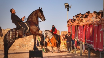 Fotografia /Galeria/2024/8/231755_147249/2_M1.jpg