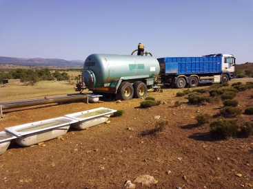 El PP de Vistabella celebra la llegada de 30.000 litros de agua que garantizan la supervivencia del ganado
