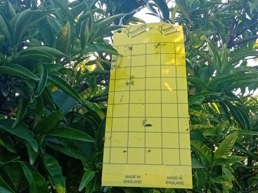 Fotografia /Galeria/2024/8/231786_147271/2_M1.jpg