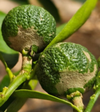 Fotografia /Galeria/2024/8/231786_147271/3_M1.jpg