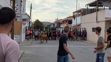 Fotografia /Galeria/2024/8/231835_147309/2_M1.jpg