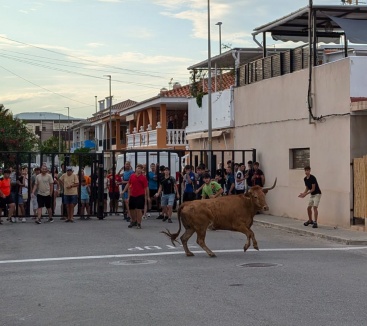 Fotografia /Galeria/2024/8/231835_147309/3_M1.jpg