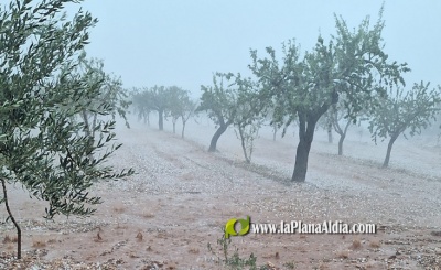 Fotografia /Galeria/2024/8/231861_147332/2_M1.jpg