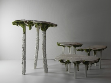 Fotografia /Galeria/2024/8/231886_147352/2_M1.jpg