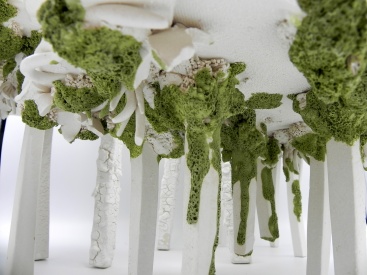 Fotografia /Galeria/2024/8/231886_147352/3_M1.jpg