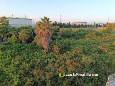 Fotografia /Galeria/2024/8/231897_147363/2_M1.jpg