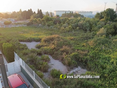 Fotografia /Galeria/2024/8/231897_147363/4_M1.jpg