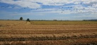 AVA-ASAJA reclama canviar la llei per protegir els agricultors enganyats