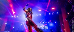 Ms de 200.000 personas de 113 pases avalan el poder utpico de un Rototom Sunsplash que mira ya a su 30 aniversario, en 2025