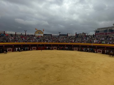 Fotografia /Galeria/2024/8/232153_147550/4_M1.jpg