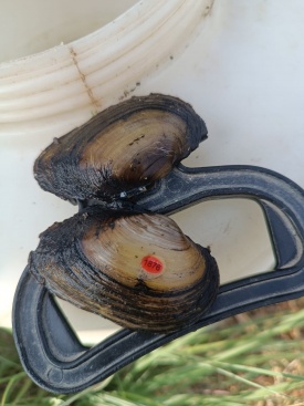 Fotografia /Galeria/2024/8/232173_147567/3_M1.jpg