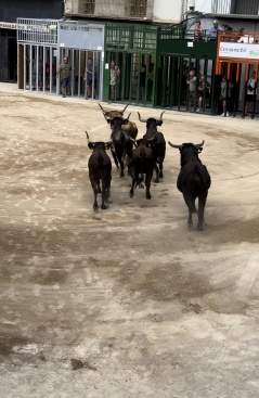 Fotografia /Galeria/2024/8/232216_147600/2_M1.jpg