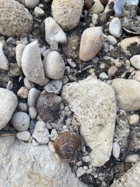 Fotografia /Galeria/2024/8/232258_147629/2_M1.jpg