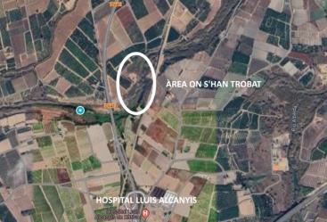 Fotografia /Galeria/2024/8/232258_147629/4_M1.jpg