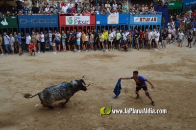 Fotografia /Galeria/2024/8/232294_147663/5_M1.jpg