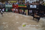 Fotografia /Galeria/2024/8/232294_147663/9_M1.jpg