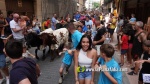 La transhum?ncia de caps de bestiar avilenyes fa les del?cies dels m?s petits
