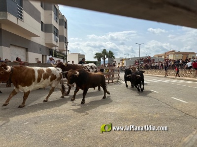 Vall d’Alba despide sus fiestas con gran participación y buen ambiente