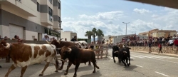 Vall dAlba despide sus fiestas  con gran participacin y buen ambiente