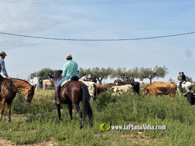 Fotografia /Galeria/2024/9/232399_147746/2_M1.jpg