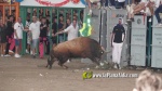 El Fuente Ymbro de Satine, expectaci? i homenatge a gran altura