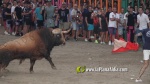 El Fuente Ymbro de Satine, expectaci? i homenatge a gran altura